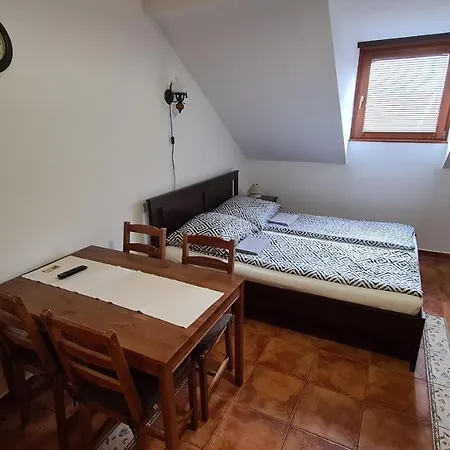 Gyulai Fürdö Apartment Gyula